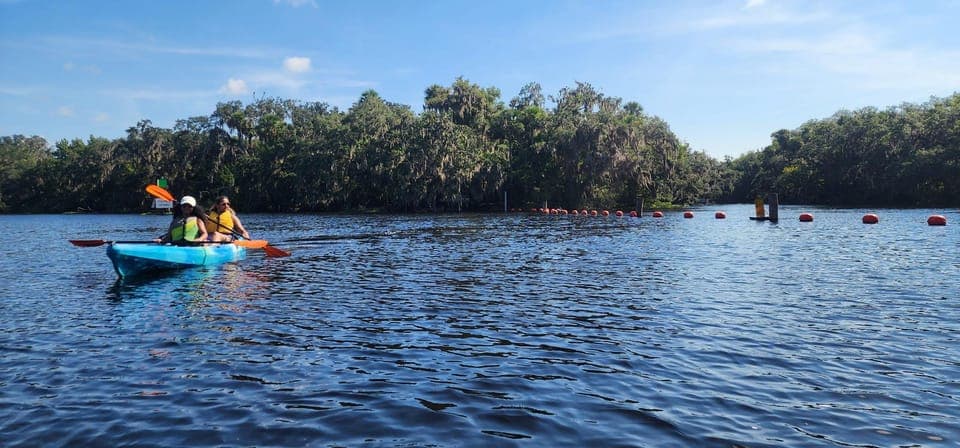 undefined Gallery Image 2