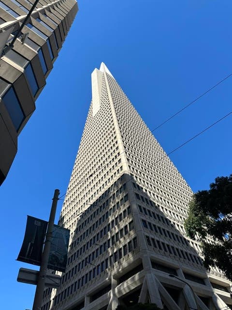 undefined Gallery Image 4