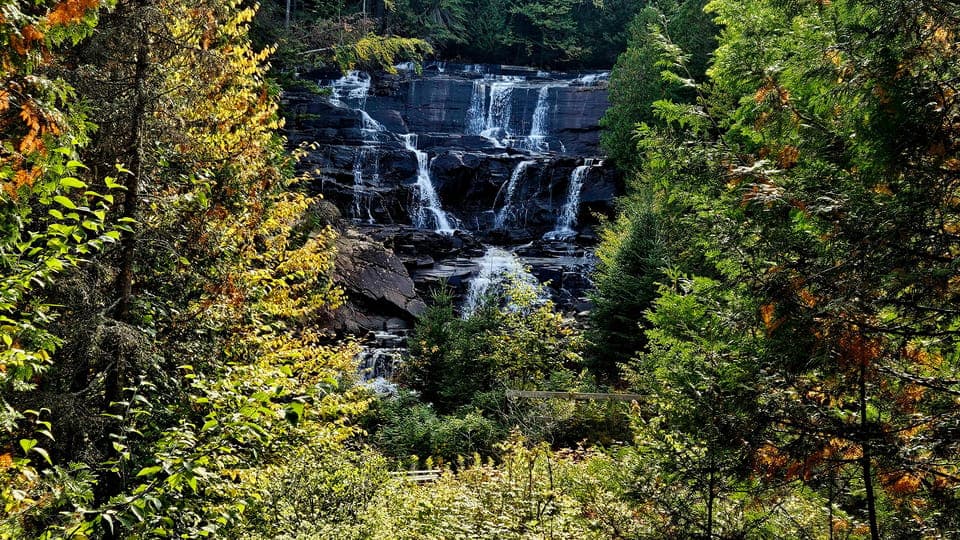 undefined Gallery Image 1