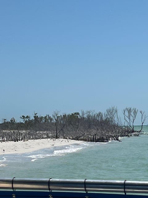 undefined Gallery Image 1