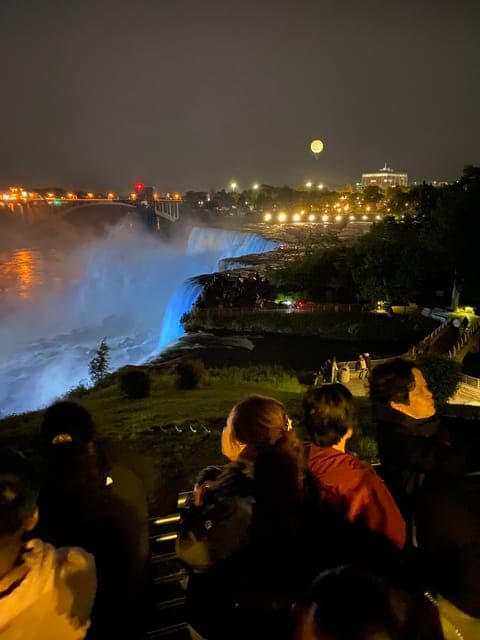 undefined Gallery Image 3