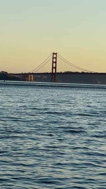 undefined Gallery Image 4