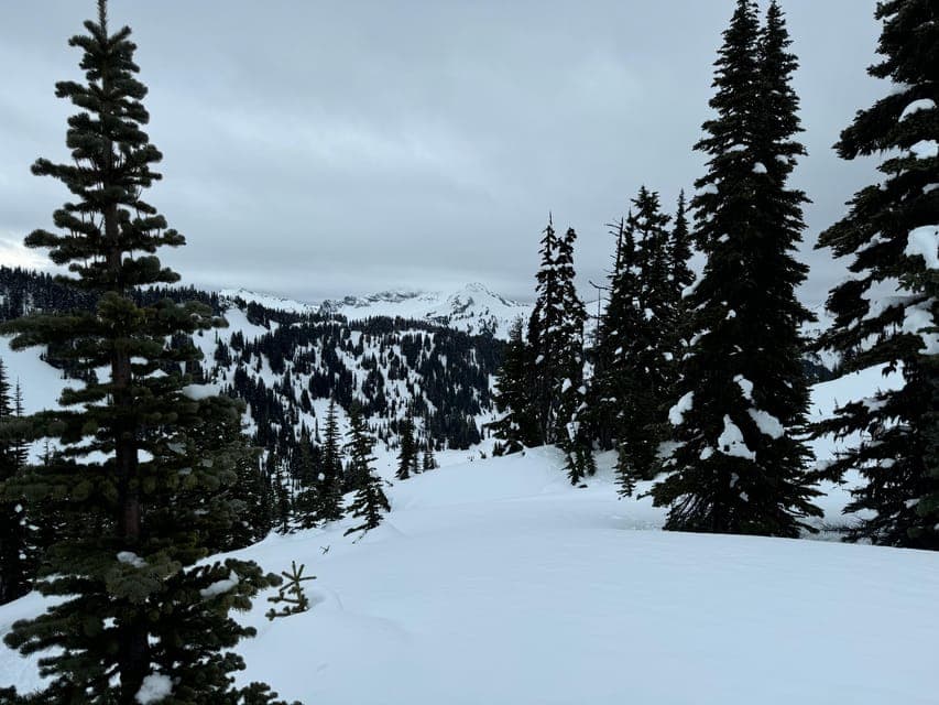 undefined Gallery Image 3