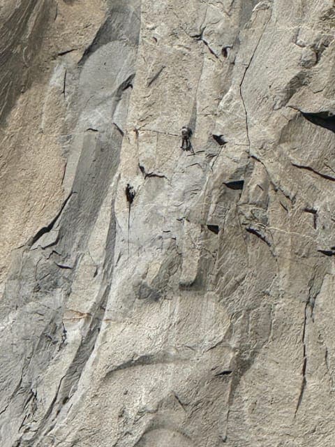 undefined Gallery Image 4