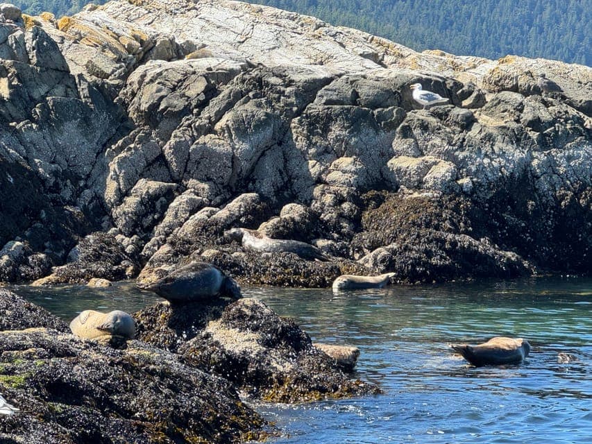 undefined Gallery Image 1