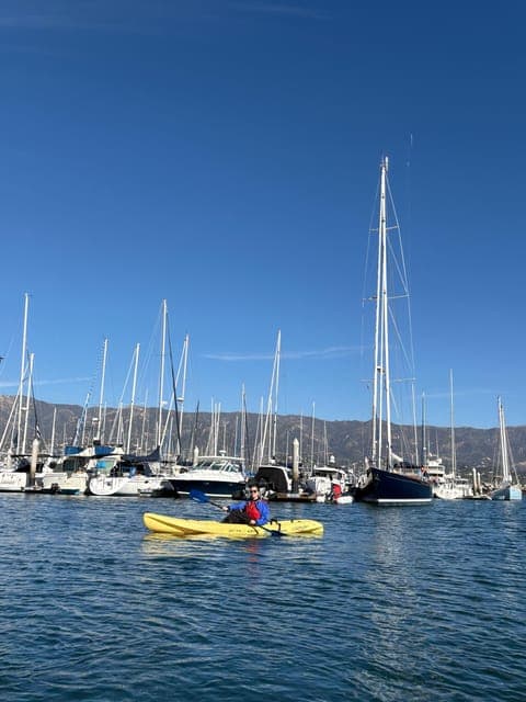 undefined Gallery Image 4