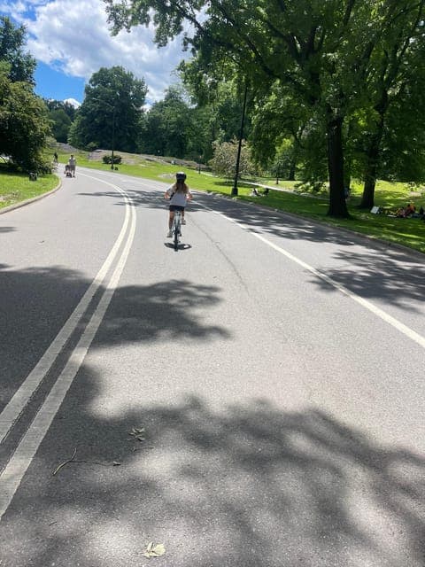 undefined Gallery Image 1