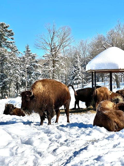 undefined Gallery Image 3