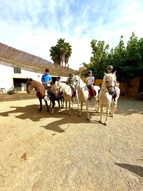 undefined Gallery Image 1