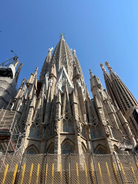 undefined Gallery Image 1