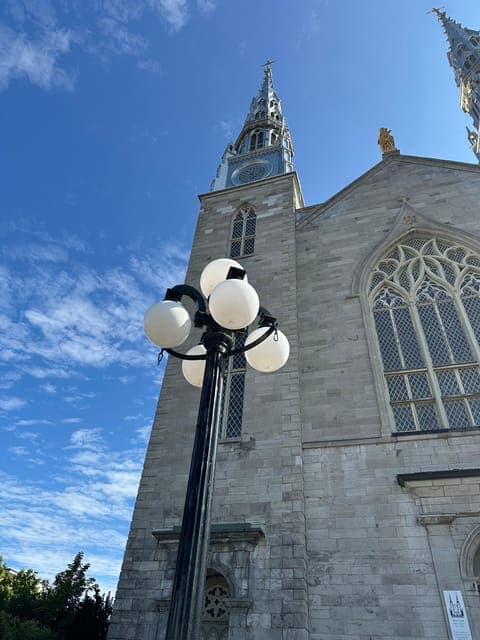 undefined Gallery Image 4