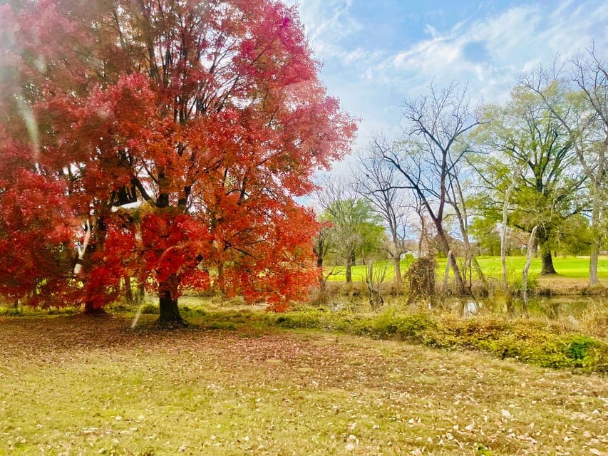 undefined Gallery Image 4