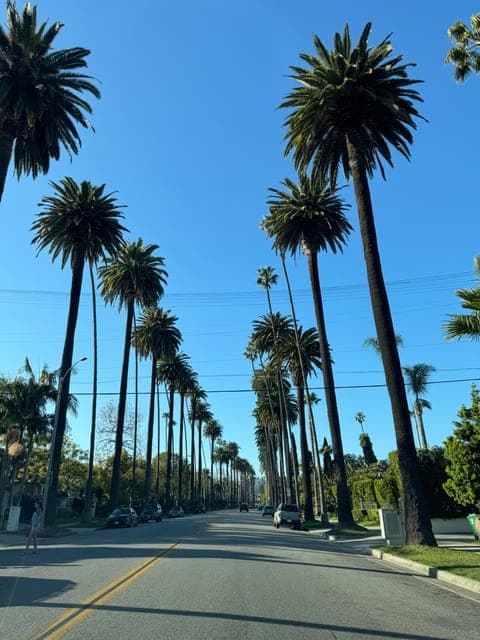 undefined Gallery Image 2