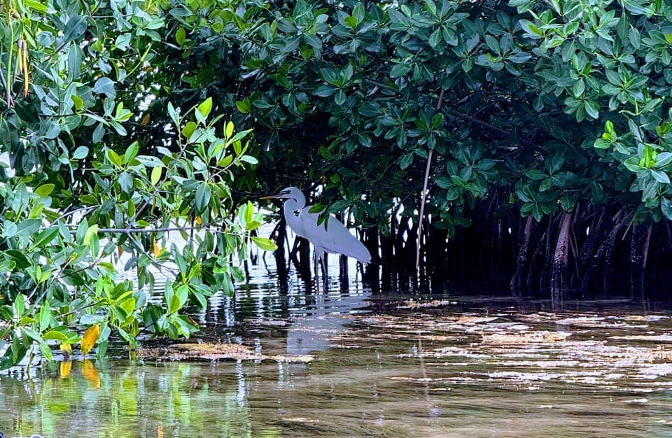 undefined Gallery Image 2