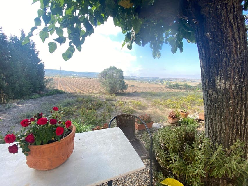 undefined Gallery Image 2