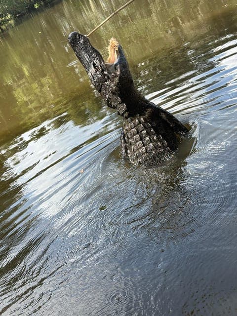 undefined Gallery Image 3