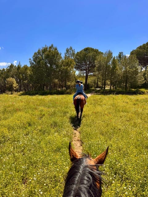 undefined Gallery Image 3