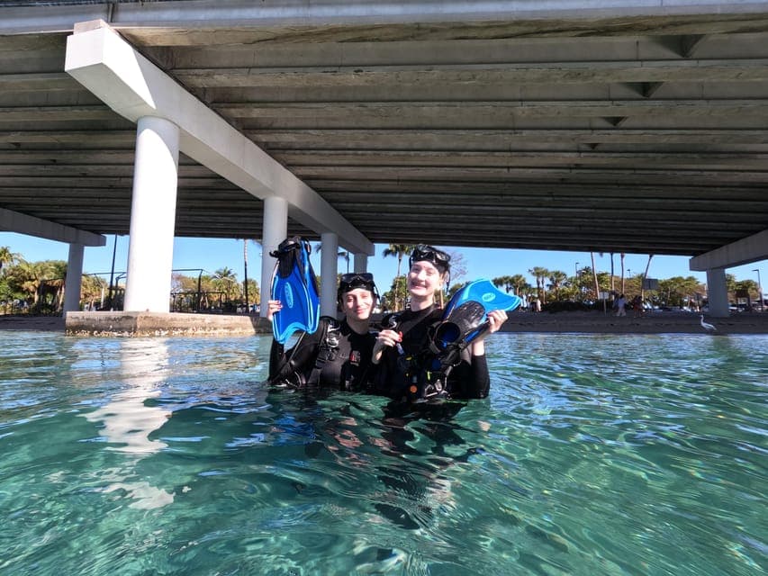 undefined Gallery Image 4