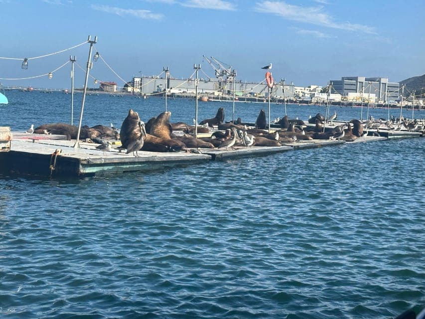 undefined Gallery Image 4