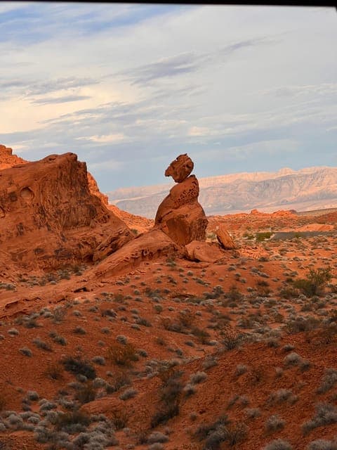 undefined Gallery Image 3