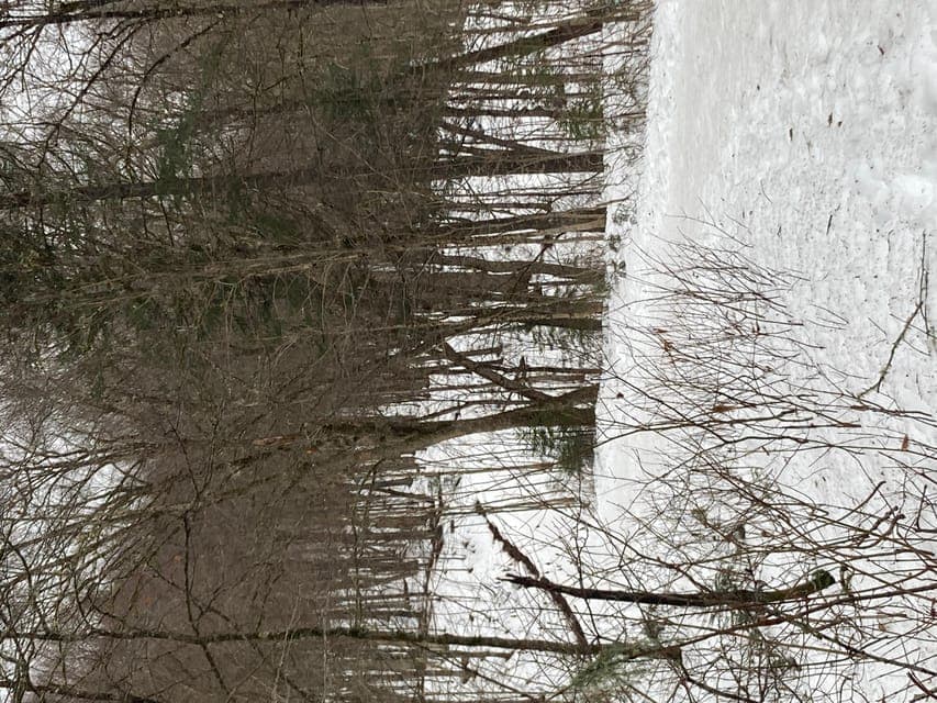 undefined Gallery Image 2