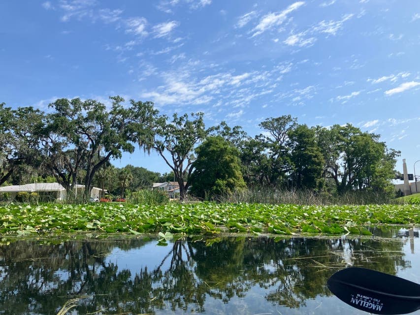 undefined Gallery Image 2