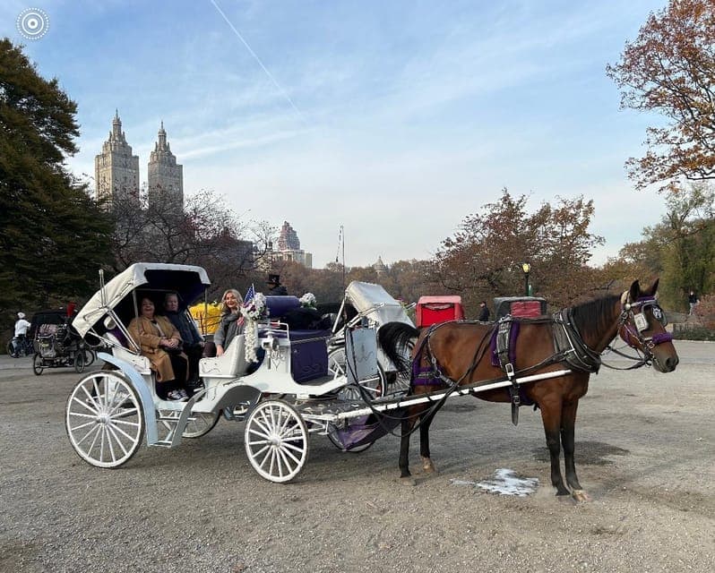 undefined Gallery Image 3