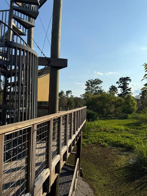 undefined Gallery Image 2