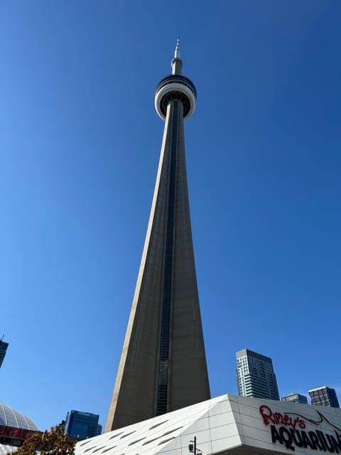 undefined Gallery Image 1