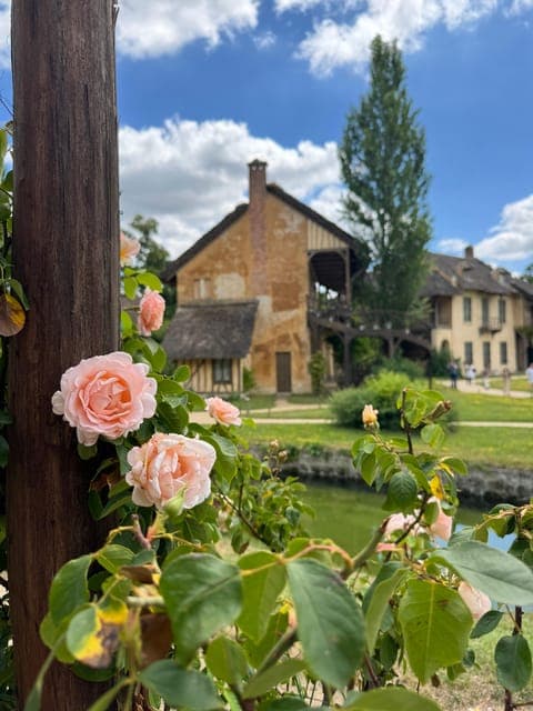 undefined Gallery Image 4