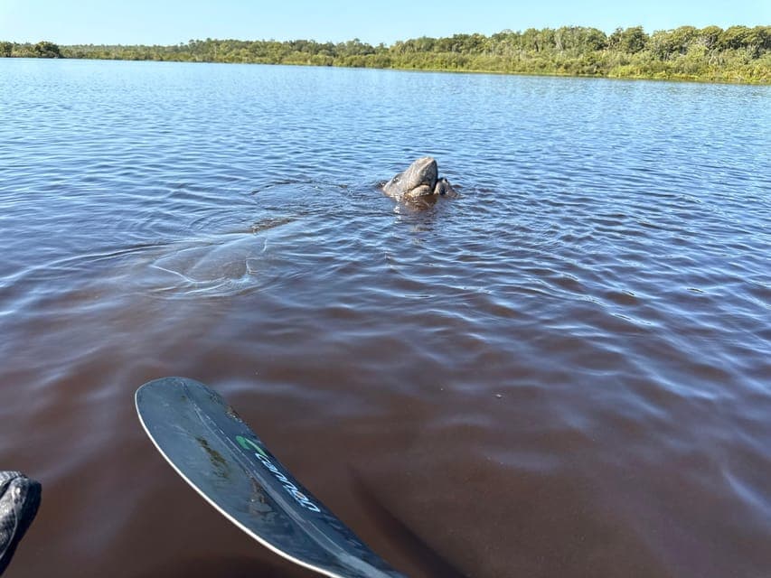 undefined Gallery Image 3