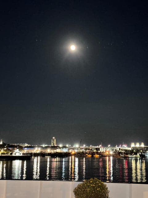 undefined Gallery Image 2