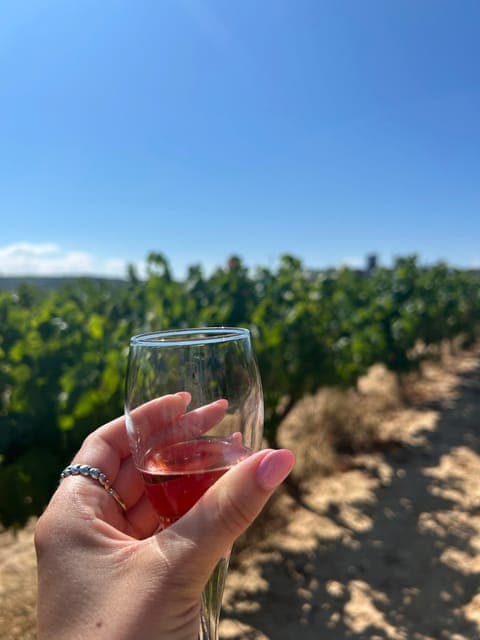 undefined Gallery Image 2