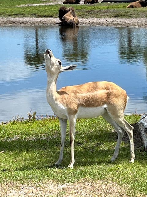 undefined Gallery Image 4