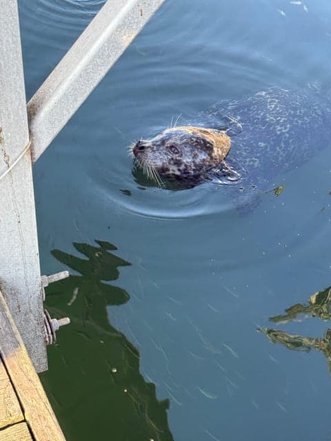 undefined Gallery Image 3