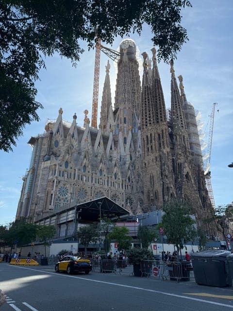 undefined Gallery Image 4