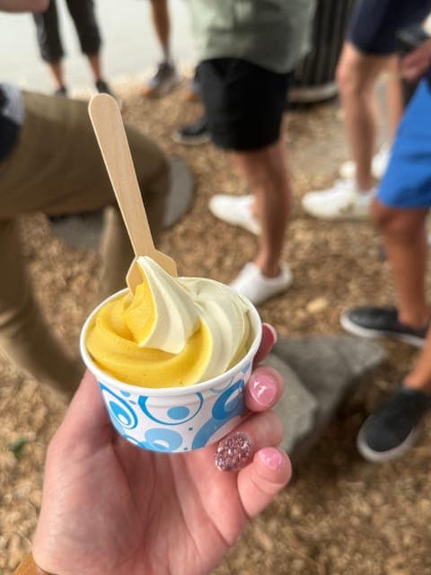 undefined Gallery Image 4