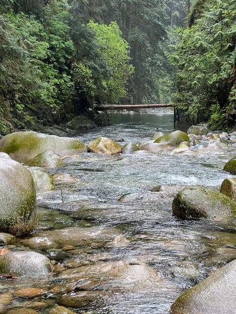 undefined Gallery Image 3