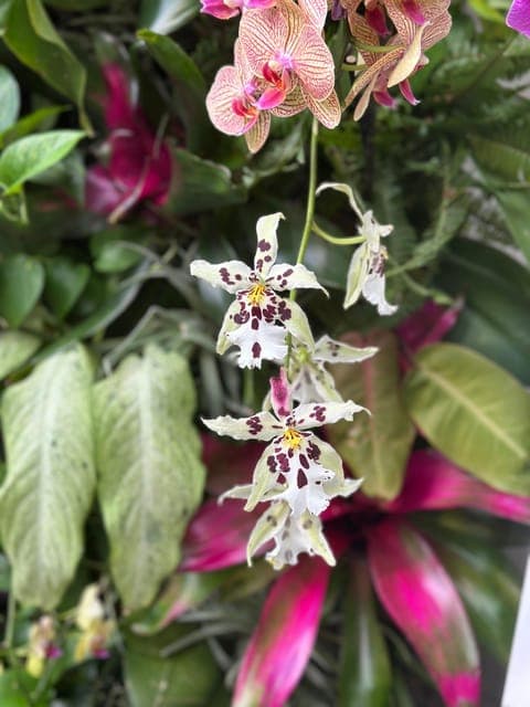 undefined Gallery Image 3