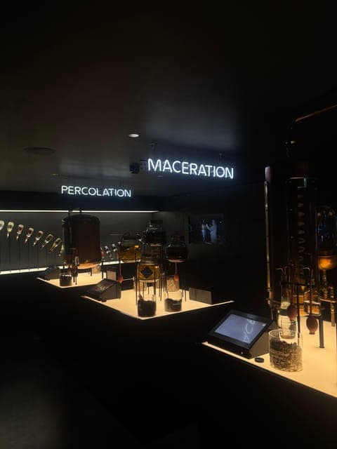 undefined Gallery Image 3