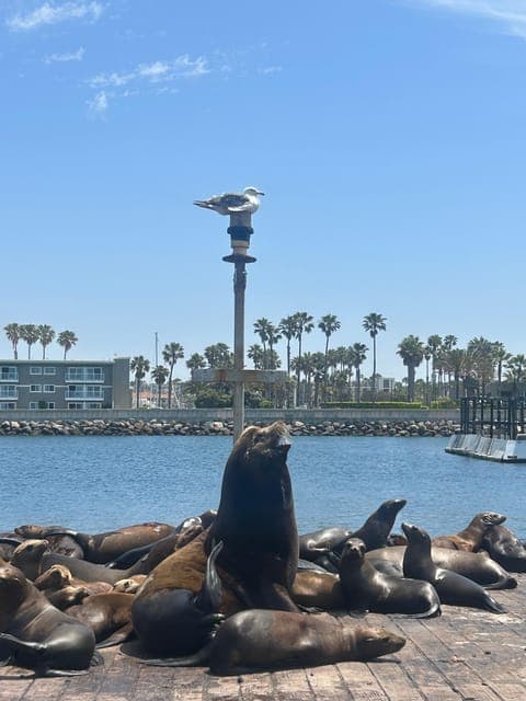 undefined Gallery Image 2