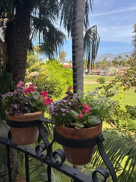 undefined Gallery Image 3