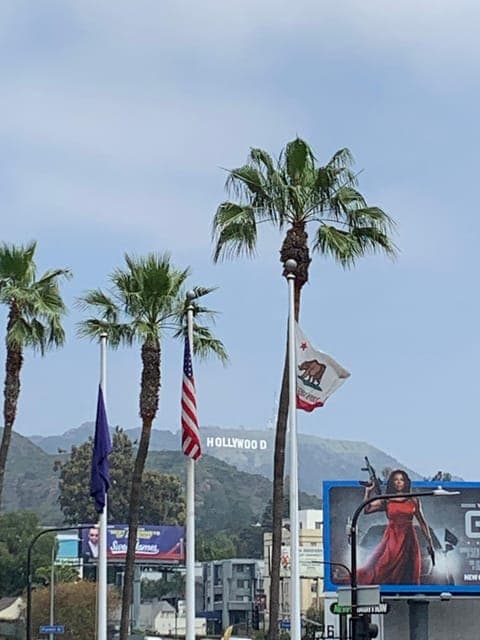 undefined Gallery Image 2