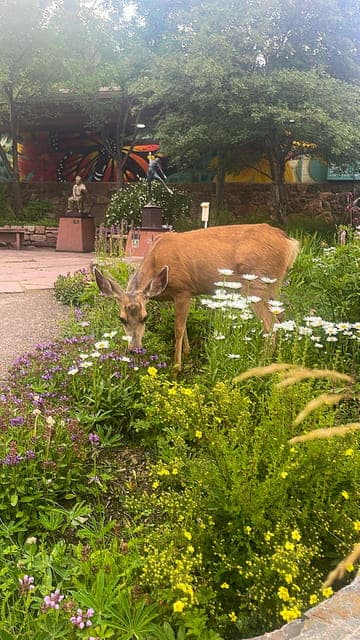 undefined Gallery Image 2