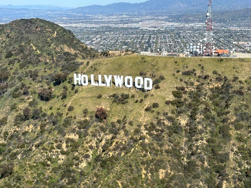 undefined Gallery Image 4