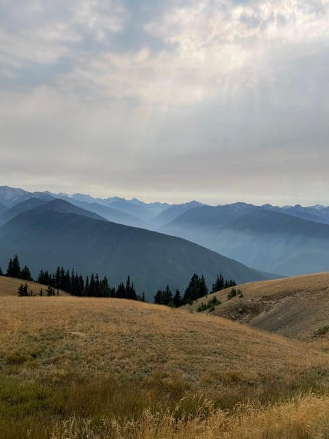 undefined Gallery Image 2