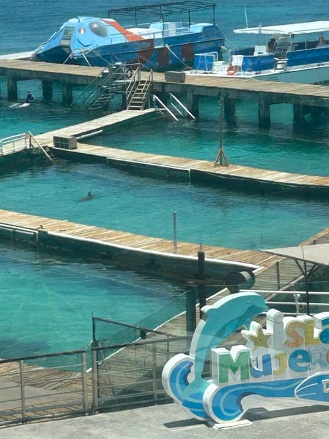 undefined Gallery Image 1