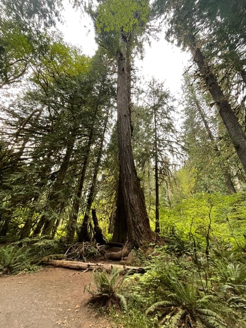 undefined Gallery Image 4