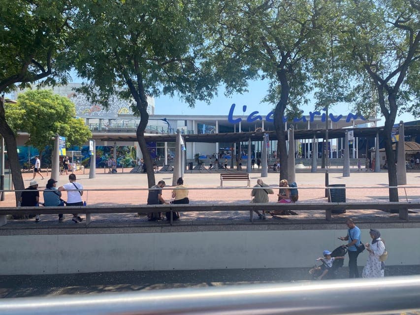 undefined Gallery Image 1