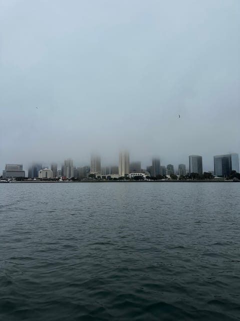 undefined Gallery Image 3